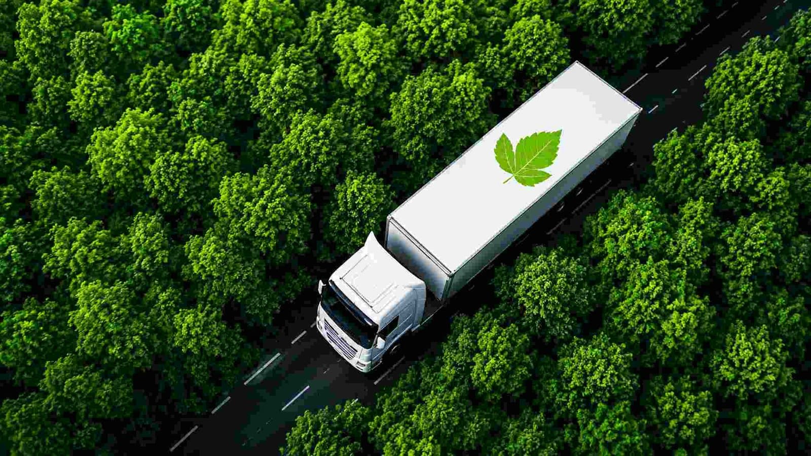 Green Logistics: The Fastest-Growing Skill No One’s Teaching in Kerala Yet